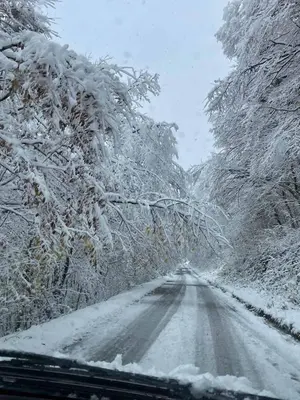 a snow covered road with trees hanging over it at Villa Aria in Bosanska Krupa