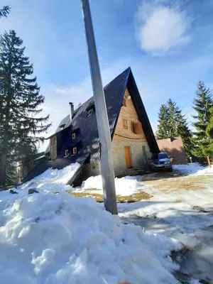 a house with a pole in the snow at Apartments A Vlasic in Vlasic