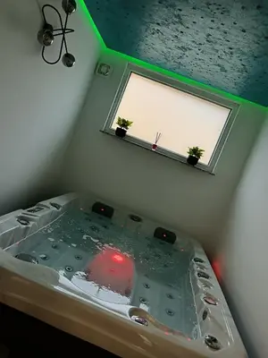 a bath tub with two potted plants in a room at SPA APARTMAN Prijedor in Prijedor
