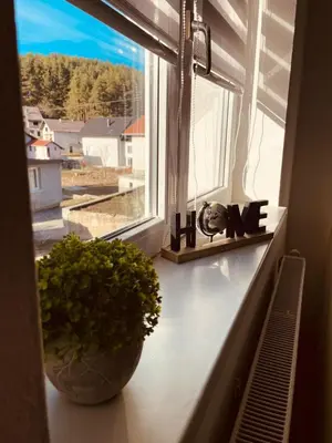 a window with a potted plant on a window sill at Apartman Šimić in Kupres