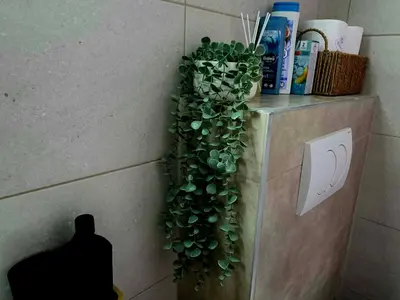 a green plant on a wall in a bathroom at Novicasa in Železnička Stanica Incel