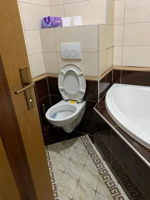 a bathroom with a toilet and a sink at Golden Lilly Apartment in Bihać