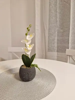 a vase with a plant in it on a table at Pollaris in Banja Luka