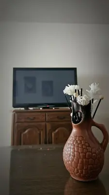 a vase with flowers in front of a tv at Stan na dan - Apartman Centar Kakanj in Kakanj