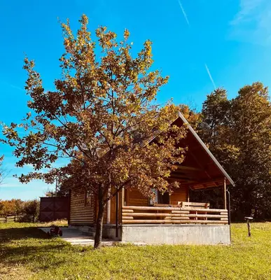 a tree in front of a log cabin at Brvnara Duga njiva Banjaluka in Čelinac