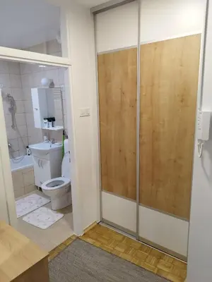 a bathroom with a toilet and a glass shower door at Apartman Harmony N&D in Starčevica