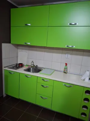 a green kitchen with a sink and green cabinets at Studio apartman in Banja Luka