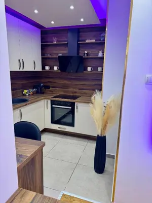 a kitchen with white cabinets and a vase with a plant at Jelena Apartments in Banja Luka