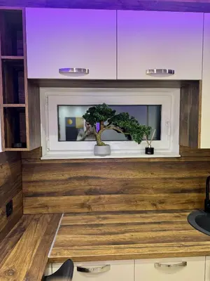 a living room with a tree on a counter at Jelena Apartments in Banja Luka