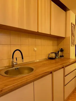 a kitchen with a sink and a counter top at Alexa Apartmani in Banja Luka