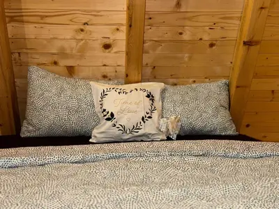a cat standing on a bed next to two pillows at Soul Rest in Visoko