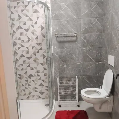 a bathroom with a toilet and a shower at Apartman Ella in Železnička Stanica Incel