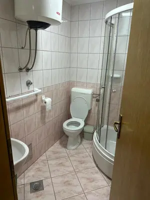 a bathroom with a toilet and a sink and a shower at Apartman Nina in Šišava