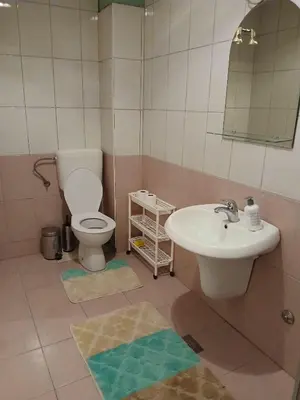 a bathroom with a sink and a toilet and a mirror at Apartment Snow Vlašić in Šišava