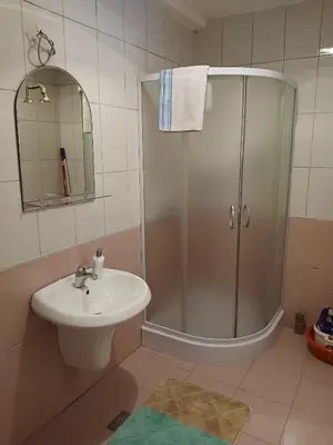 a bathroom with a shower and a sink at Apartment Snow Vlašić in Šišava
