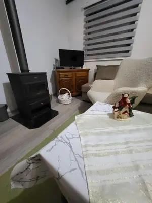 a living room with a couch and a stove at Studio apartman 