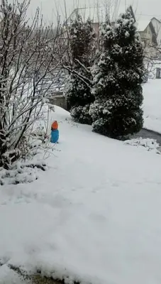 a fire hydrant in a yard covered in snow at Studio apartman 