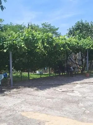 a group of people sitting under a bunch of trees at Apartman - TAHRIC in Bihać