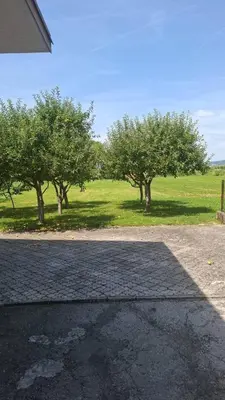 an empty parking lot with trees in a field at Apartman - TAHRIC in Bihać