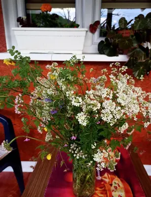 a vase filled with flowers sitting on a table at Mubina Apartman in Ćukovi