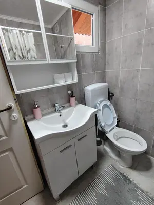 a bathroom with a white sink and a toilet at Mubina Apartman in Ćukovi