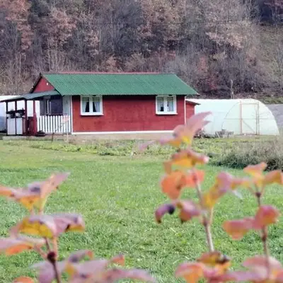 Mubina Apartman