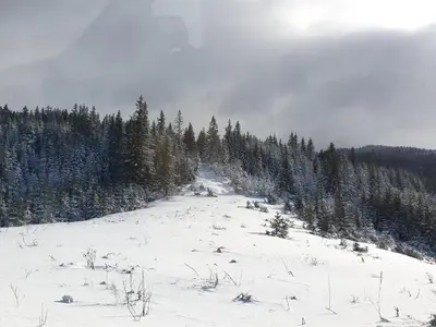 a snow covered hill with trees in the background at Vikendica Jadranka in Kupres