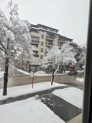 a snow covered street with trees and a building at Apartman Wegele in Teslić