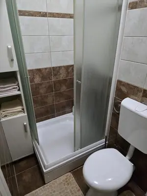 a bathroom with a shower and a toilet at Apartman Wegele in Teslić