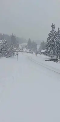 a street covered in snow with trees and houses at Apartmani Adin Babanovac in Travnik