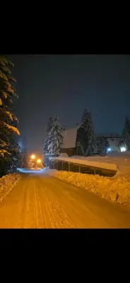 a snowy street at night with snow covered trees at Apartmani Adin Babanovac in Travnik
