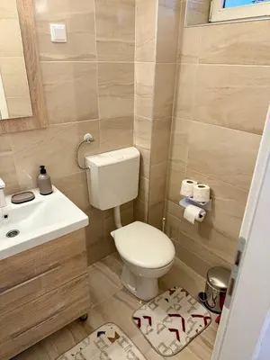 a small bathroom with a toilet and a sink at Sanak in Ivišovo Greblje