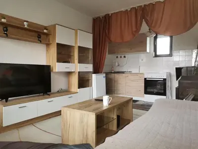 a living room with a television and a kitchen at Vikendica Brvnička Oaza mir i priroda kraj Šamca