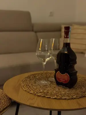 a bottle of wine and two wine glasses on a table at Apartman Slapovi in Banja Luka