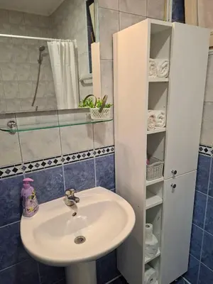 a bathroom with a sink and a shower at Stan na dan Čaršija in Gračanica