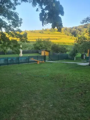 a garden with a field of yellow flowers and a fence at Arden House - Mountain Escape with Pool in Mali Radić