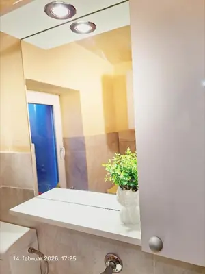 a bathroom with a mirror and a vase with a plant at Rural accommodation Vidovic