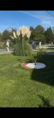 a small pond in the middle of a yard at Apartman Verdure in Bihać