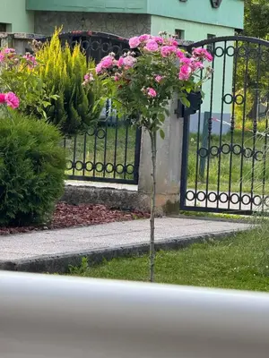 a small tree with pink flowers in front of a gate at Apartman Verdure in Bihać