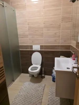 a bathroom with a toilet and a sink at Stan na dan -Lukavac in Lukavac