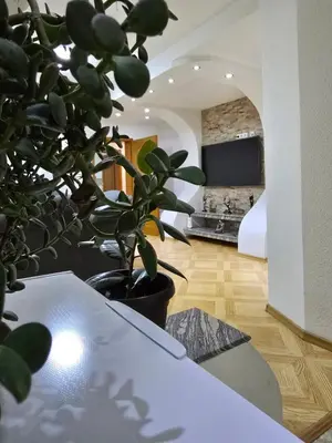 a living room with a table and a potted plant at Teo FAMILY APARTMENT TUZLA in Tuzla