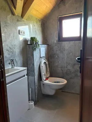 a bathroom with a toilet and a sink at Kuća za odmor River Nest