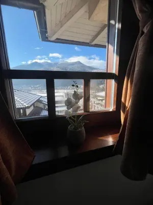 a window with a plant sitting on a window sill at Grand Panorama Apartment in Fojnica