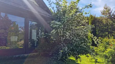 a bush with white flowers next to a house at Residence Green Pool & SPA in Visoko