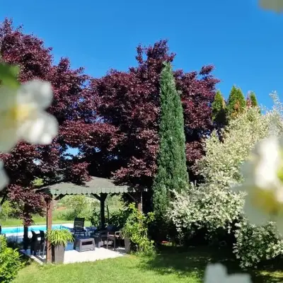 Residence Green Pool & SPA