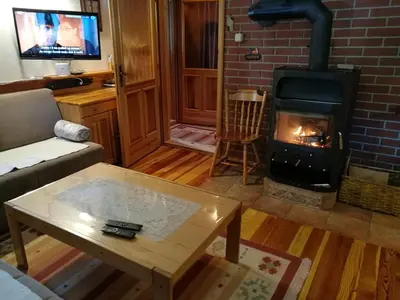 a living room with a fireplace and a couch at Apartman Sani in Vlasic