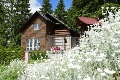 a wooden house with a garden in front of it at Vlašić House in Vlasic