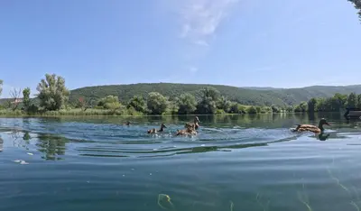 a group of people swimming in the water at Villa Giulia in Bihać
