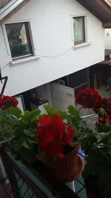 two pots of red flowers on a table with windows at Apartments Aida in Bihać