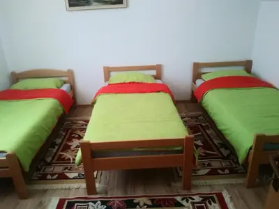 two twin beds in a room with green sheets at Ribarska Vila in Donje Lohovo